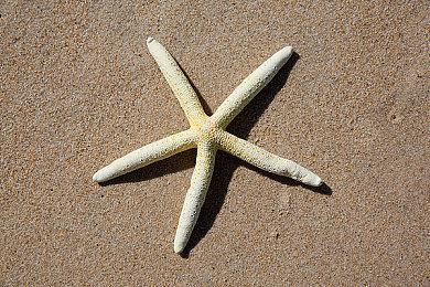 《赛博朋克2077》2.02版本近期推出 重要修复内容一览